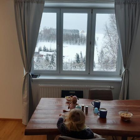 Apartman U Kunstatskeho Mlyna Orlicke Zahori Exterior foto