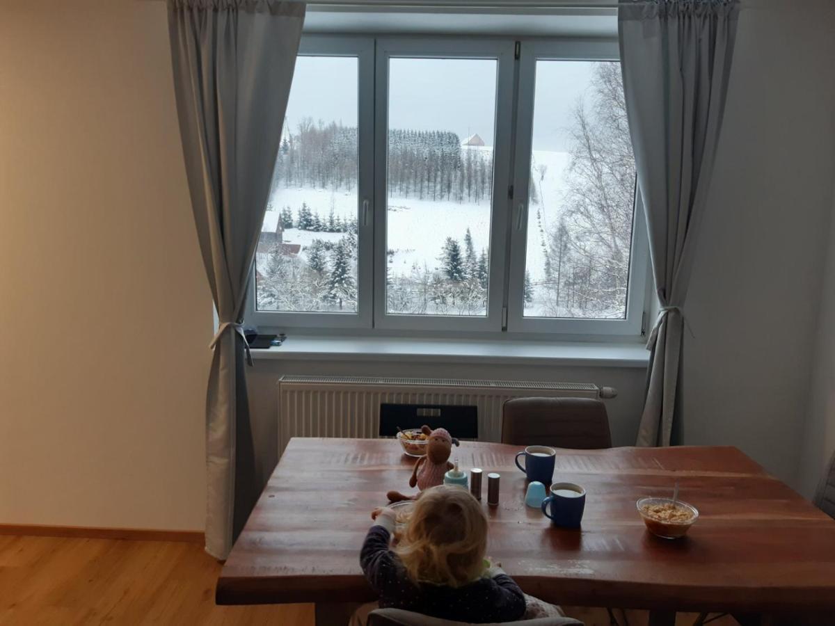Apartman U Kunstatskeho Mlyna Orlicke Zahori Exterior foto