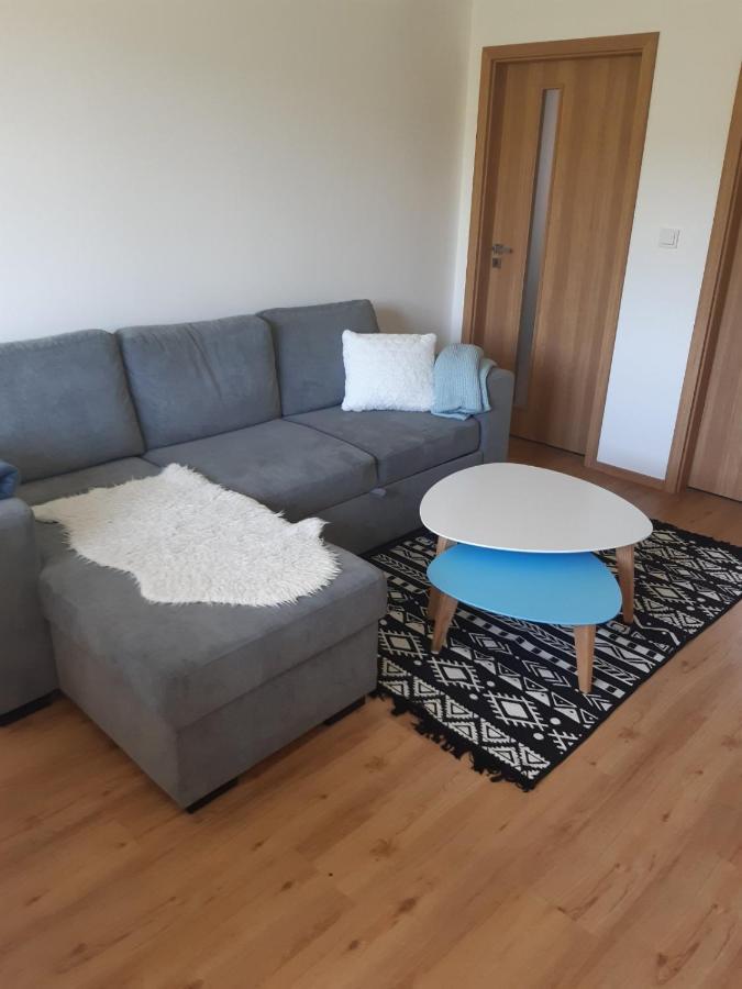 Apartman U Kunstatskeho Mlyna Orlicke Zahori Exterior foto