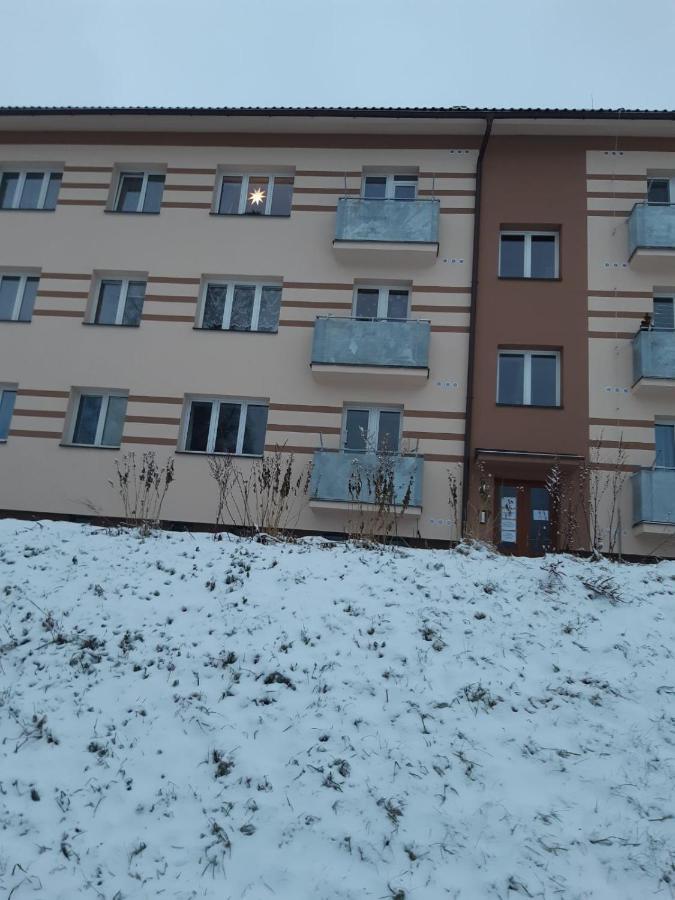 Apartman U Kunstatskeho Mlyna Orlicke Zahori Exterior foto
