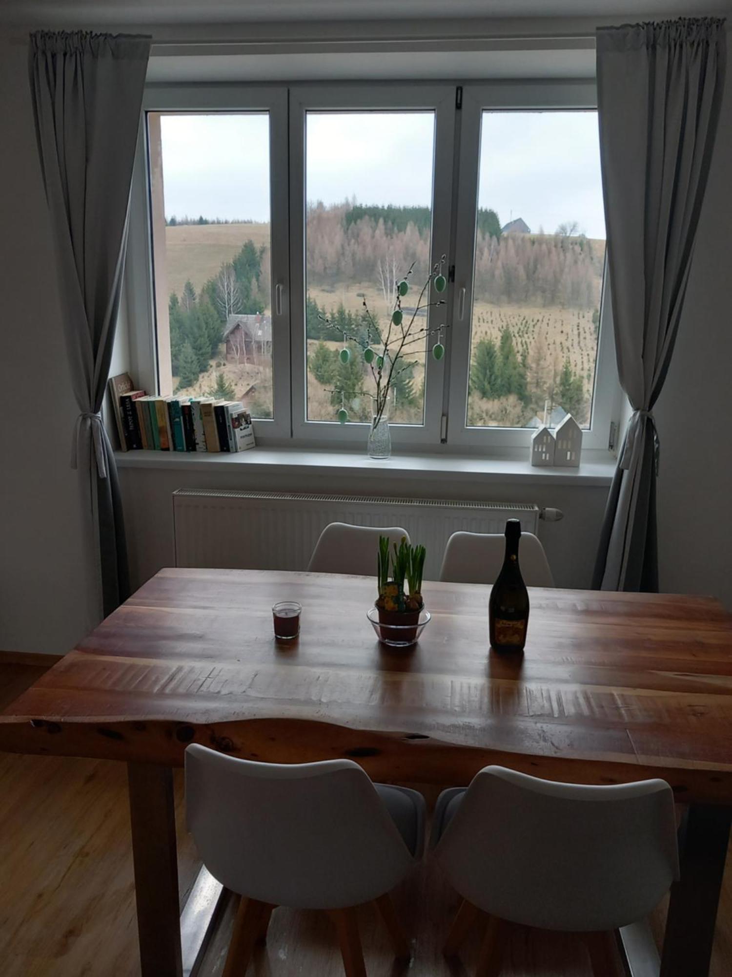 Apartman U Kunstatskeho Mlyna Orlicke Zahori Exterior foto